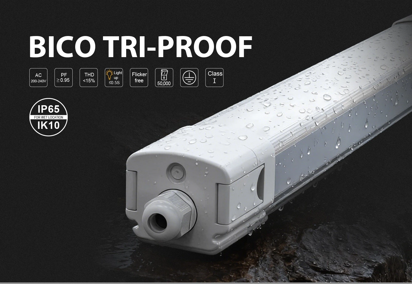 Bico01